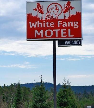 White Fang Motel Wawa Zewnętrze zdjęcie